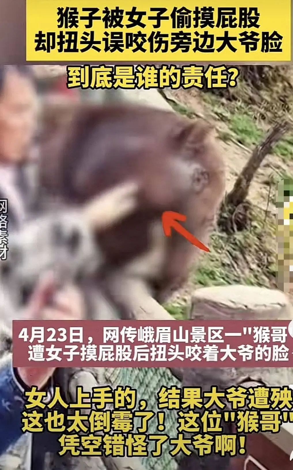 女子摸猴屁股致大爷“躺枪”被咬？峨眉山景区回应：近期无此事
